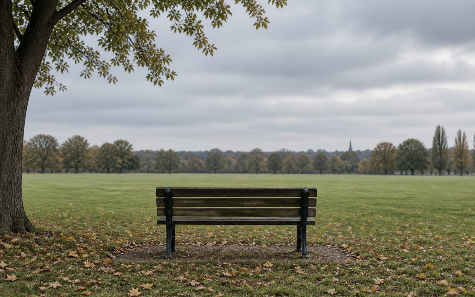 An empty park bench faces a quiet lawn.